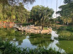 -新加坡飞禽公园