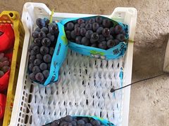 -马陆小张葡萄园农家乐