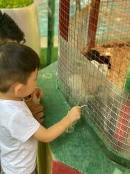 -萌宠亲子动物乐园(槐房万达店)