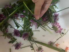 -L.C FLORA花予你(城西银泰城店)