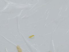 -重庆特色冷锅鱼(武大店)