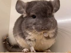 -龙猫仔乐园(惠福东路店)