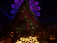 -七彩云南欢乐世界