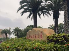 -宝安西湾红树林湿地公园