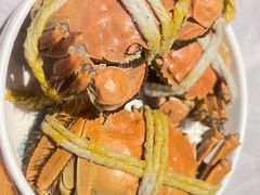 -一绪に寿喜烧(虹悦城店)