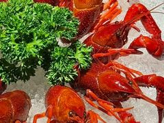 -苏帮袁Sue Cuisine(南开大悦城店)