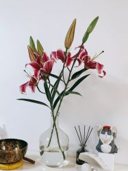 -美肤盾祛痘·问题肌头疗管理中心