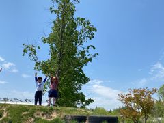 -前小桔亲子创意农场·草莓采摘·露营烧烤