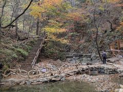 -本溪汤沟绿石谷森林公园