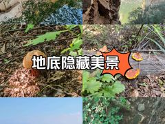 -北京密云天门山风景区