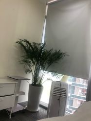 -贞禾医美·连锁