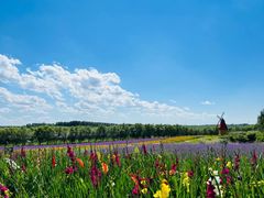 -北纬44度·金珠花海休闲农业旅游景区