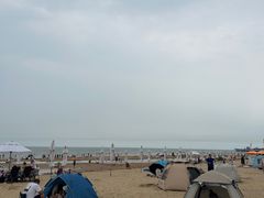 -日照海滨国家森林公园