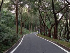 -广州雕塑公园