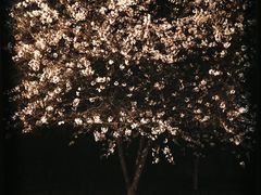 -福州海峡文化艺术中心