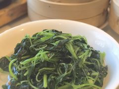 清炒苋菜-利苑酒家(金宝店)
