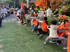 -HERRE·FARM 赫尔露营农场·团建聚会包场