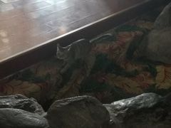 -大和洗浴休闲会所