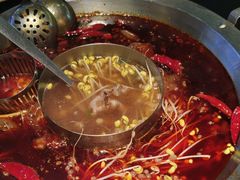 -李掌柜鲜菜火锅(移民广场店)