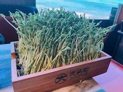 -大头椰·椰子鸡火锅(南宁万象城店)