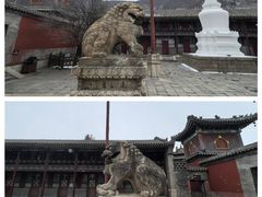 -五台山风景名胜区-罗睺寺