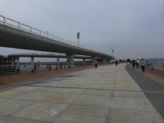 -演武大桥观景平台