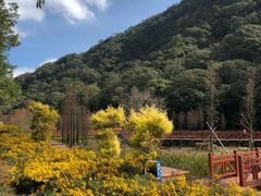 -广州市石门国家森林公园