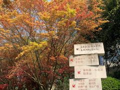 -龙头寺公园