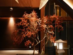 -椿杨樘·明康泡浴养生馆(重庆店)