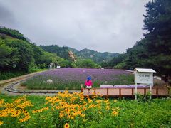 -云峰山自然风景区