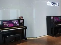 -雅马哈乐器专卖店(广州旗舰店)