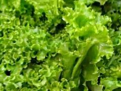 -大胖骨汤火锅(裕华店)