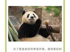 -杭州动物园