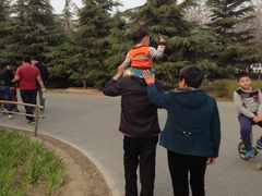 -大兴滨河森林公园