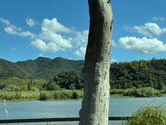 -东钱湖旅游度假区