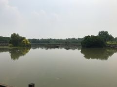 -大湾区中央湿地公园