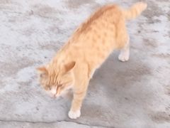 -贮水山儿童公园