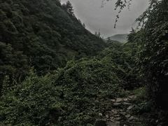 -鄣山大峡谷