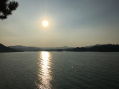 -广州市流溪河国家森林公园