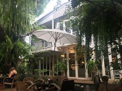 -Fern Forest Cafe