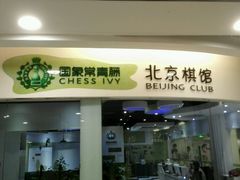 -常青藤国际象棋(新奥店)