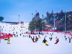 -华彬猛犸滑雪场