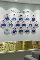-上海首尔丽格医疗美容医院