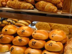 -多乐之日(公益西桥店)