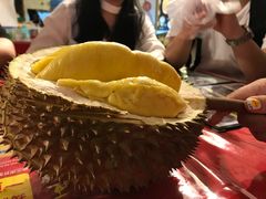 -都念榴莲·城市榴莲