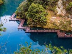 -祁门牯牛降观音堂风景区