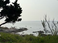 -养马岛旅游度假区