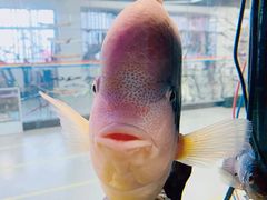 -弓舍射箭俱乐部(高新总店)