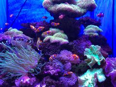 -多彩贵州城极地海洋世界