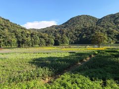 -广州市石门国家森林公园
